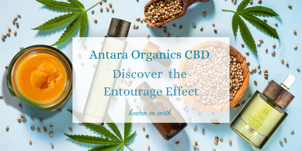 antara skincare products scattered on background - reads: antara organics cbd - discover the entourage effect.